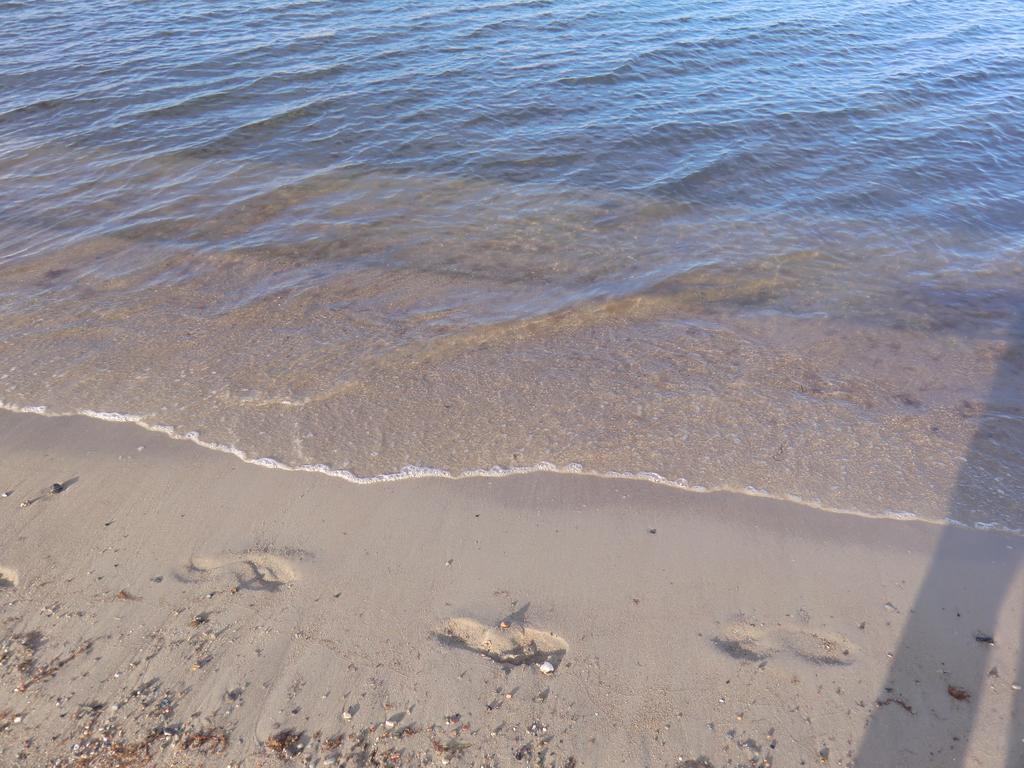 Boeltser Hus Ferienwohnungen Mit Strandkorb Und Kamin 10 Gehminuten Zum Kurtaxefreien Sandstrand Kraksdorf 外观 照片